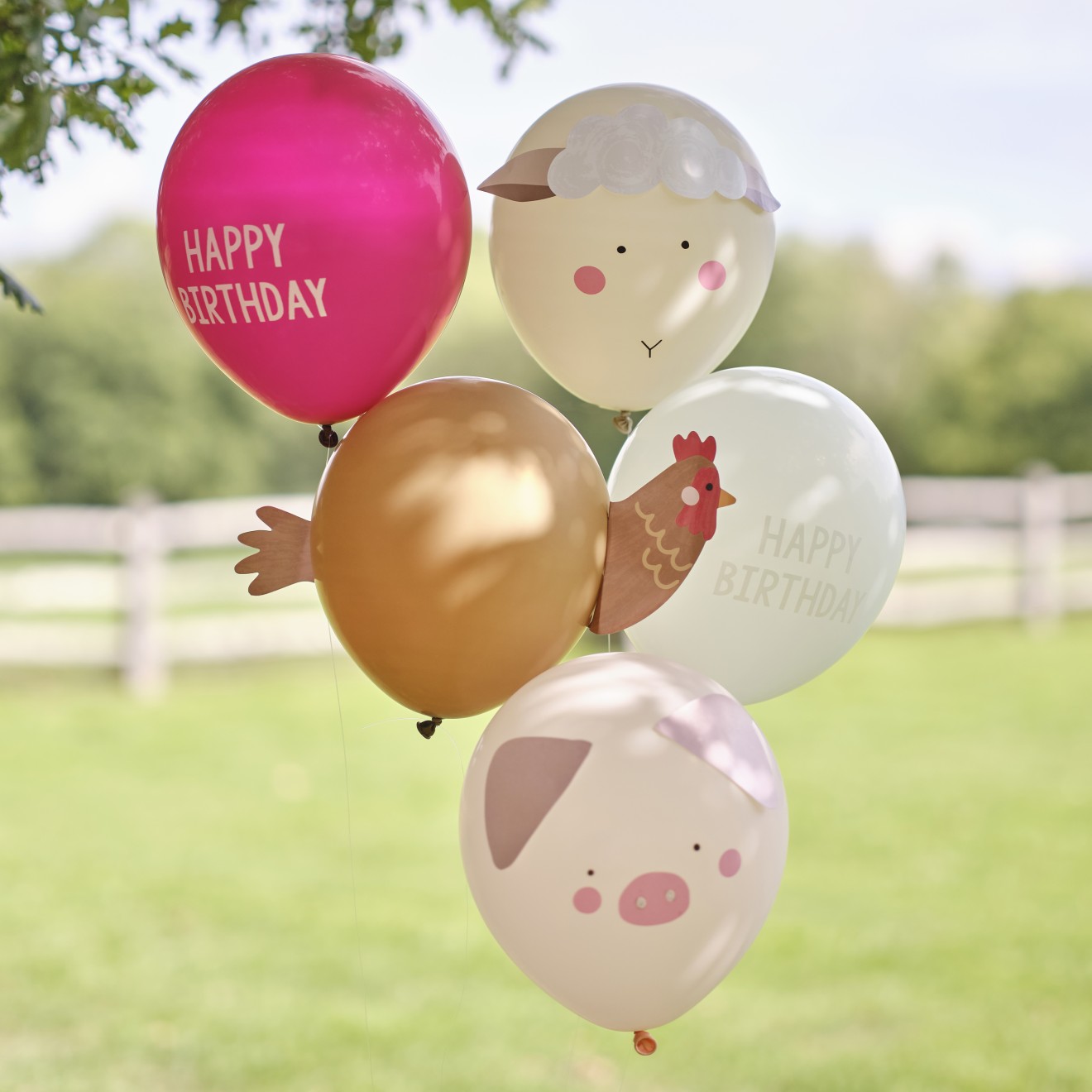 Balloon Bundle - 5pk Balloons with Card Animal Faces and Print