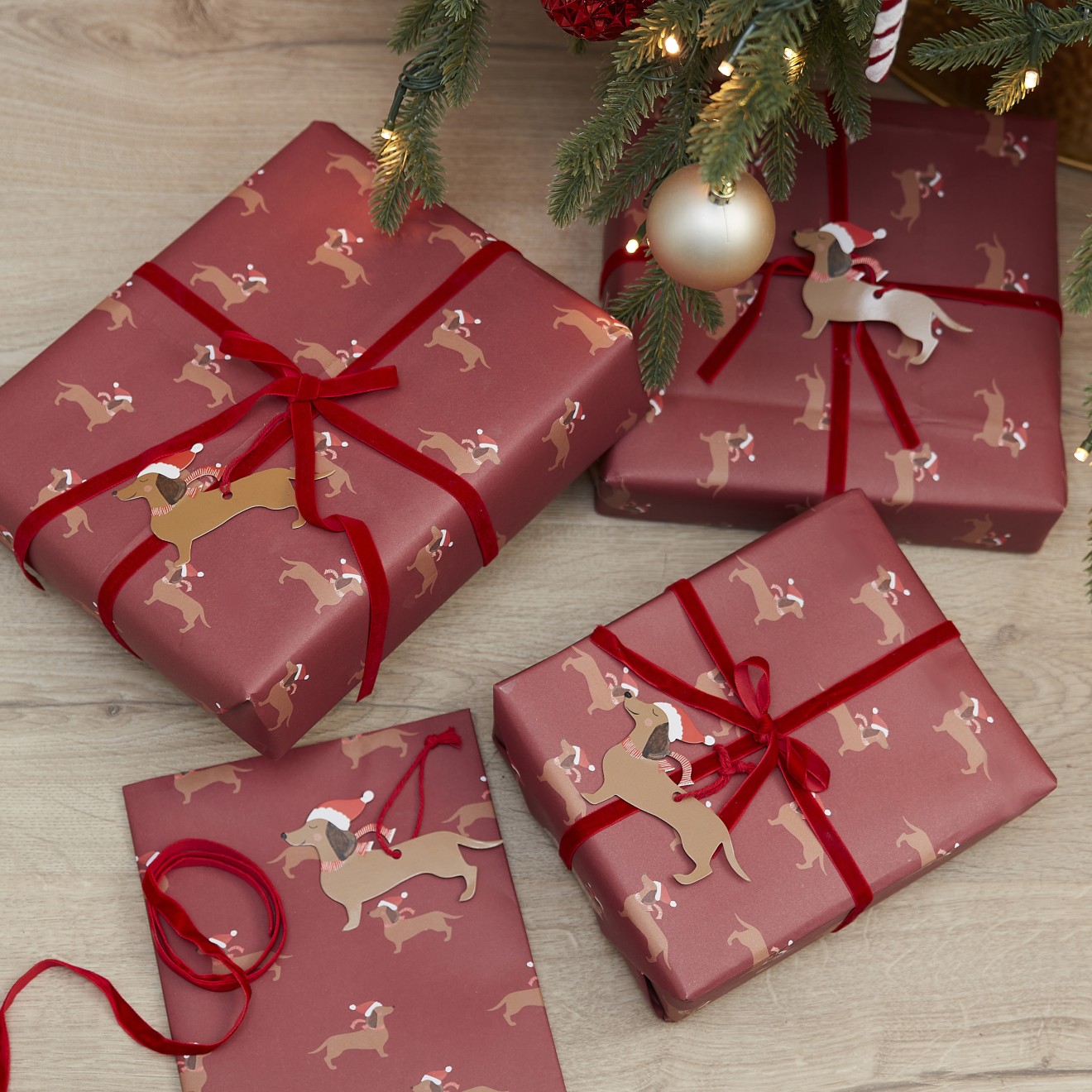 5 Gift Wrap Kit - Festive Sausage Dog Wrap Kit - Wrap, Ribbon & Tag