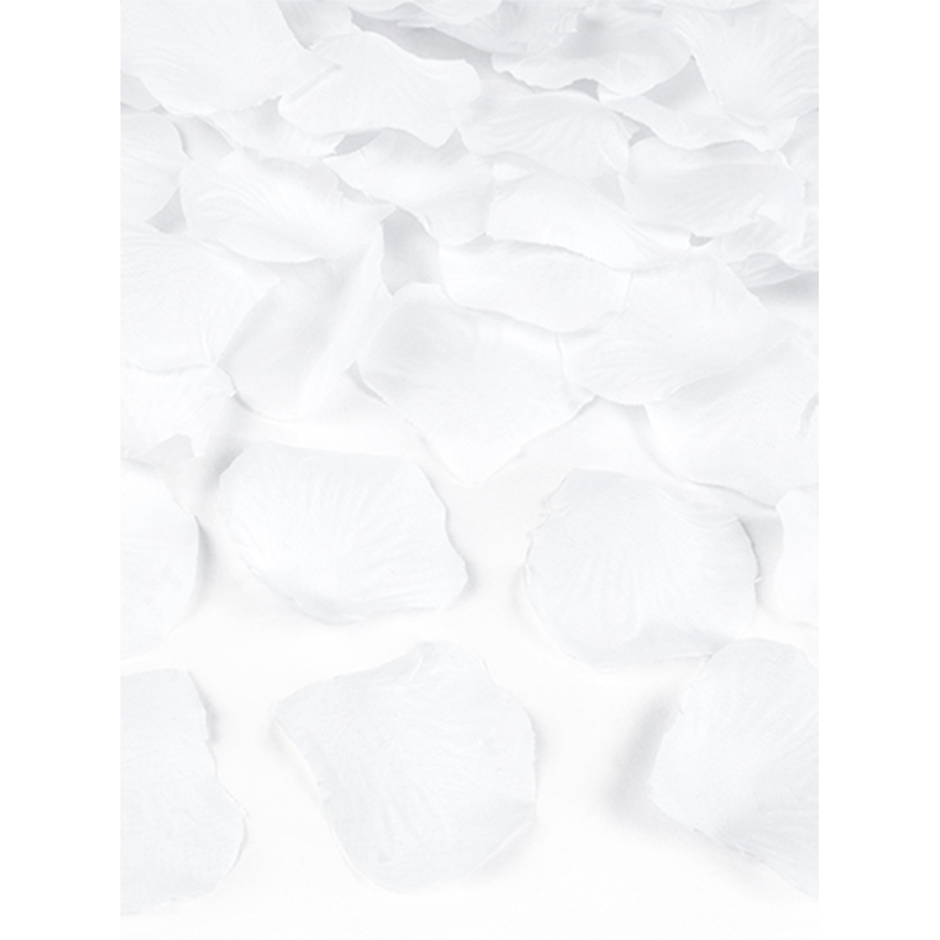 100 Rosenblätter - Weiß