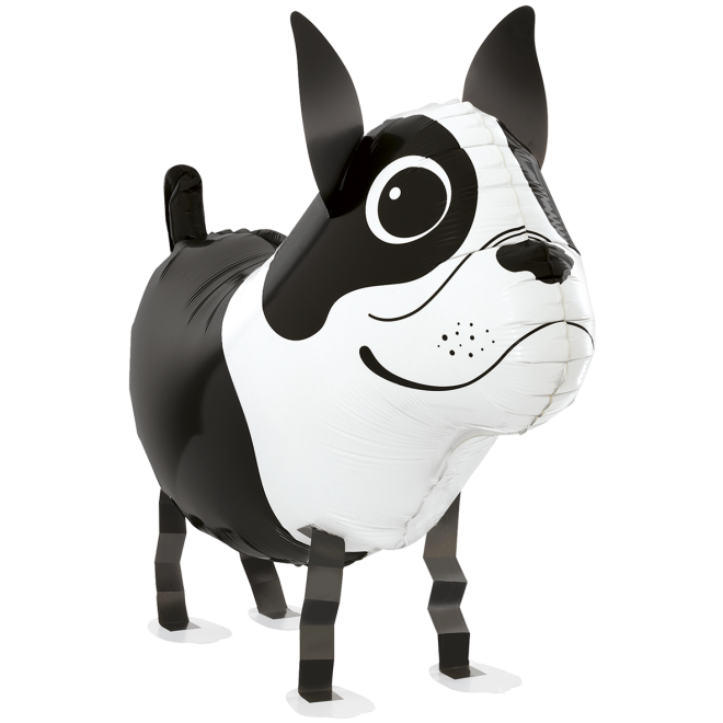 1 Balloon - Balloon Friends - Boston Terrier