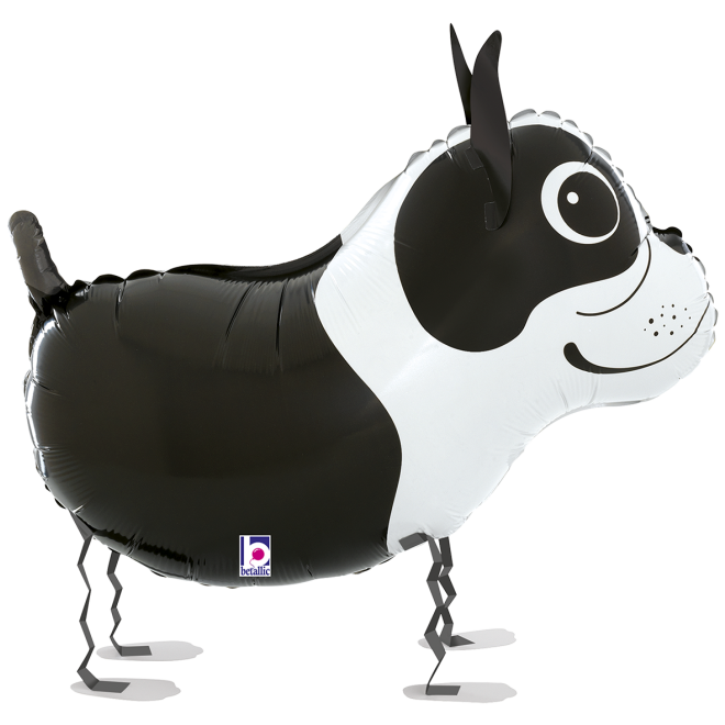 1 Balloon - Balloon Friends - Boston Terrier