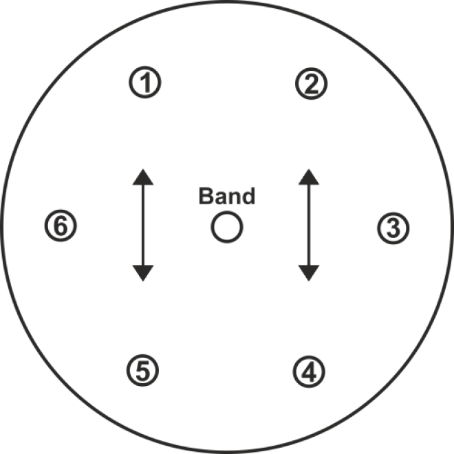 15 x Ballonscheiben für Luftballongirlanden