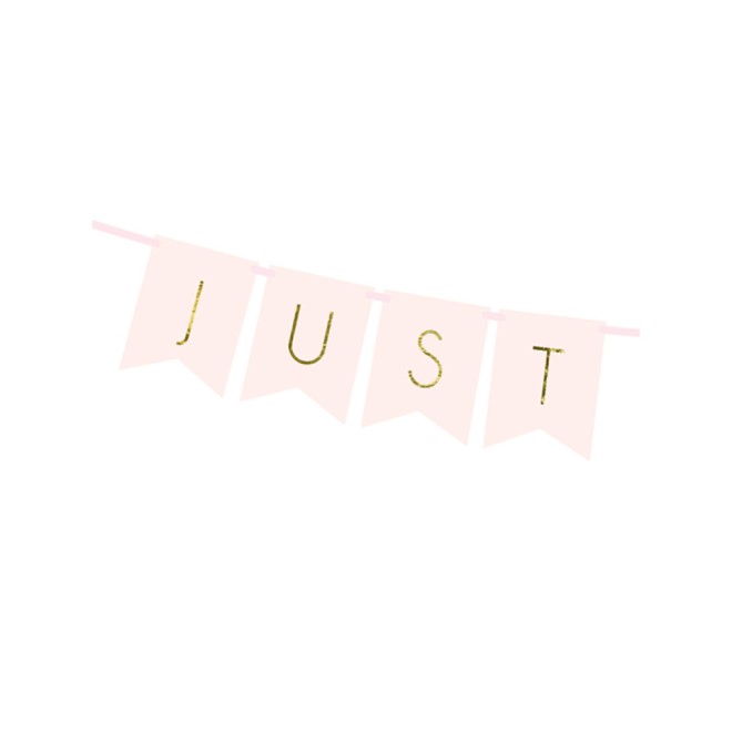 Papiergirlande - Just Married - Rosa