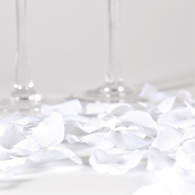 Rosenblätter Weiß - Klein - 100 Stück