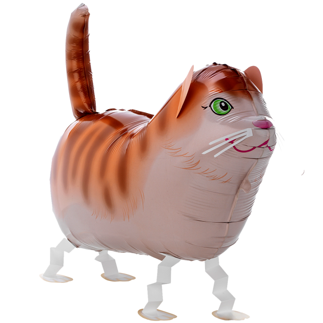 1 Balloon XXL - Pet Walker - Tommy The Cat