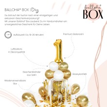 Balloha® Box - DIY Gold Celebration - 1