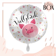 Balloha® Box - DIY Viel Glück Schweinchen
