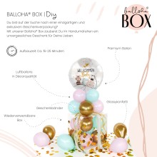 Balloha® Box - DIY Baby Little Friends