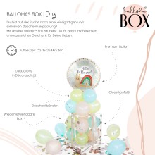 Balloha® Box - DIY Sweet Baby Snail