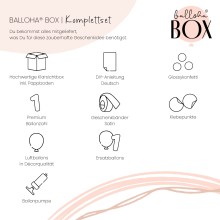 Balloha® Box - DIY Silver Celebration - 1