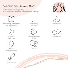 Balloha® Box - DIY Creamy Blush - 3