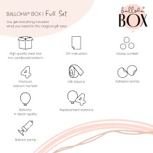 Balloha® Box - DIY Rosegold Celebration - 4