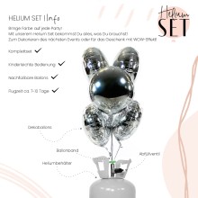 Helium Set - Glossy - Pure Silver