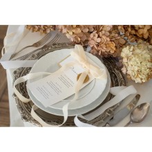 1 Ballonband - Velour - Beige - 15mm