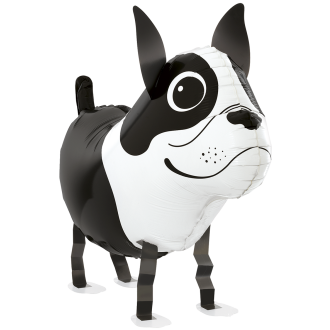 1 Balloon - Balloon Friends - Boston Terrier